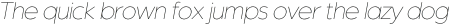 The Chef Thin Italic otf (100)