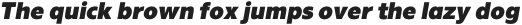 The Chef Extra Black Italic otf (900)
