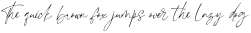 Whimsy Write Italic otf (400)