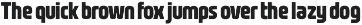 Nasional Sans preview