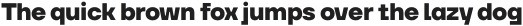 Neuefity ExtraBold otf (700)