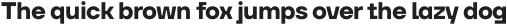 Neuefity Bold otf (700)