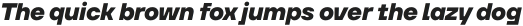 Neuefity ExtraBold Italic otf (700)