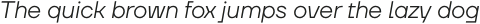 Neuefity Light Italic otf (300)