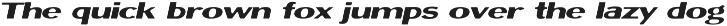 Badge Sans | Vintage Display preview