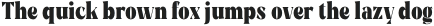 Rigam Medium otf (500)