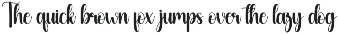 Vintage | Script Font preview