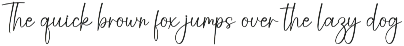 Welcome | Script Font preview