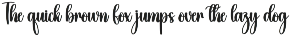 Bulky | Script Font preview