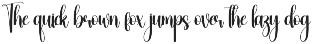 Kindness | Script Font preview