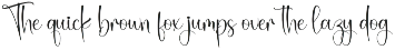 Wintersock | Script Font preview
