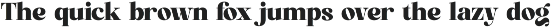 Finestly Natural - Retro Serif font preview