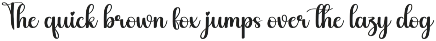 Starnight | Script Font preview