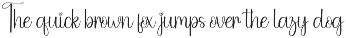 Autography | Script Font preview