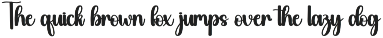 Vacation | Script Font preview