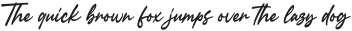 Varsity Signature Script otf (400)