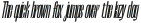 Neue Striktus Condensed Italic otf (400)