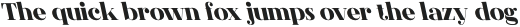 CS Agnes Reverse Italic otf (400)