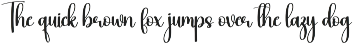Chubby | Script Font preview