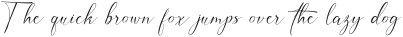 Inter Signature otf (400)