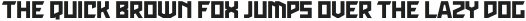 Racing ttf (400)
