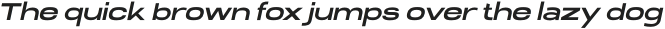 BingoItalic otf (400)