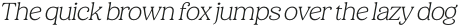 Holimole Extra Light Italic otf (200)