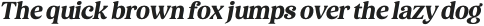 Holimole Black Italic otf (900)