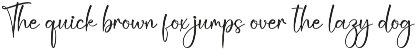 Vacation | Script Font preview