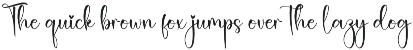 vintage | Script Font preview