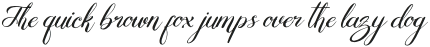 Pentona Minami Italic otf (400)