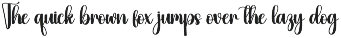 Holiday | Script Font preview