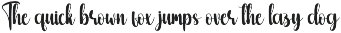 Stayhome | Script Font preview
