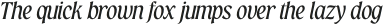 Grayscale Medium Italic otf (500)