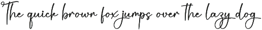 Autography | Script Font preview