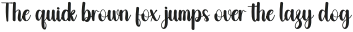 Burger Regular otf (400)