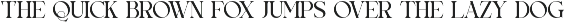 Rheata - Unique Serif Font preview