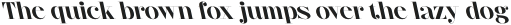 CS Nolan Reverse Italic otf (400)