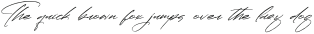 Paradise Stonelife Italic otf (400)