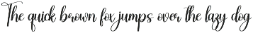 Homestay | Script Font preview
