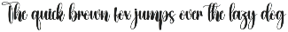 Amsterdam | Script Font preview