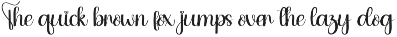 Rainday | Script Font preview