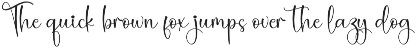 Saturday | Script Font preview
