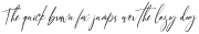 Writing Signature Regular ttf (400)