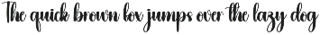 Sadnight | Script Font preview