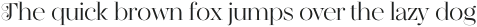 Regality Display Light otf (300)