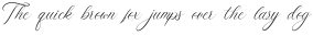 Bellinghearts otf (400)