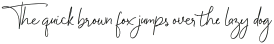 Joyful Wakayama Handwriting Font otf (400)
