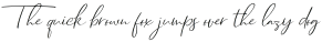 Dhanikans Signature otf (400)