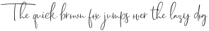 Dhanikans Signature 2 Regular otf (400)